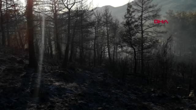 MUĞLA'DAKİ ORMAN YANGINLARI KISMEN KONTROL ALTINDA