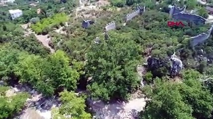 2 bin 700 yıllık dev çınar turistlerin yeni ilgi odağı