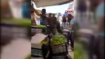 TONLARCA DOMATESİ ÇÖPE ATAN İŞ YERİ SAHİBİ: 20-30 KASA DÖKTÜK -1