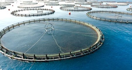 Barajlardaki su ürünlerinden ekonomiye yıllık 940 milyon liralık katkı