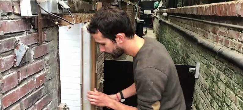 Découvrez les bébés suricates du Zoo de Lille