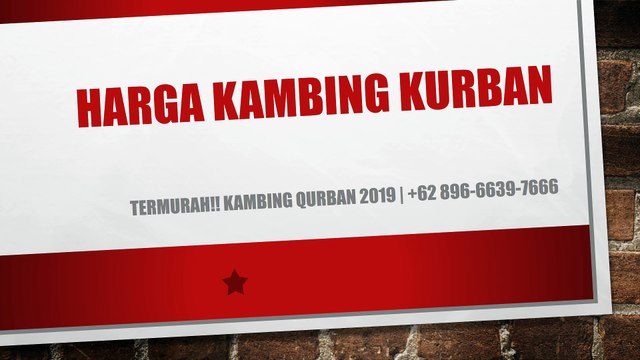 PROMO!! +62 822-2647-4434 | Harga kambing Kurban