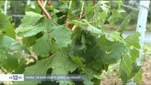 Météo : des orages de grêle font d'importants dégâts dans le Beaujolais