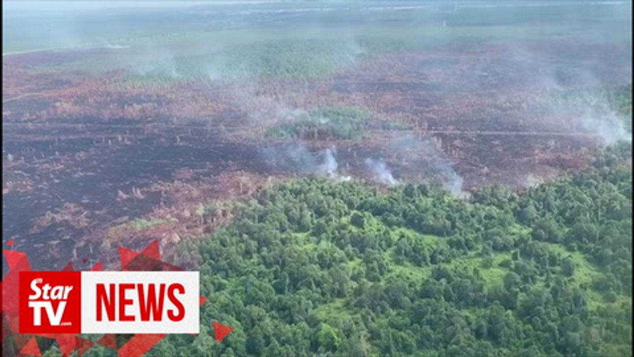 Miri Fire and Rescue Department put out  forest fires the size of 654 football fields