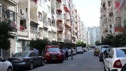Apartmana giren domuz yakalandı