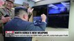 N. Korea could soon deploy new ballistic missile, guided MRL, tactical missile system: Pundits