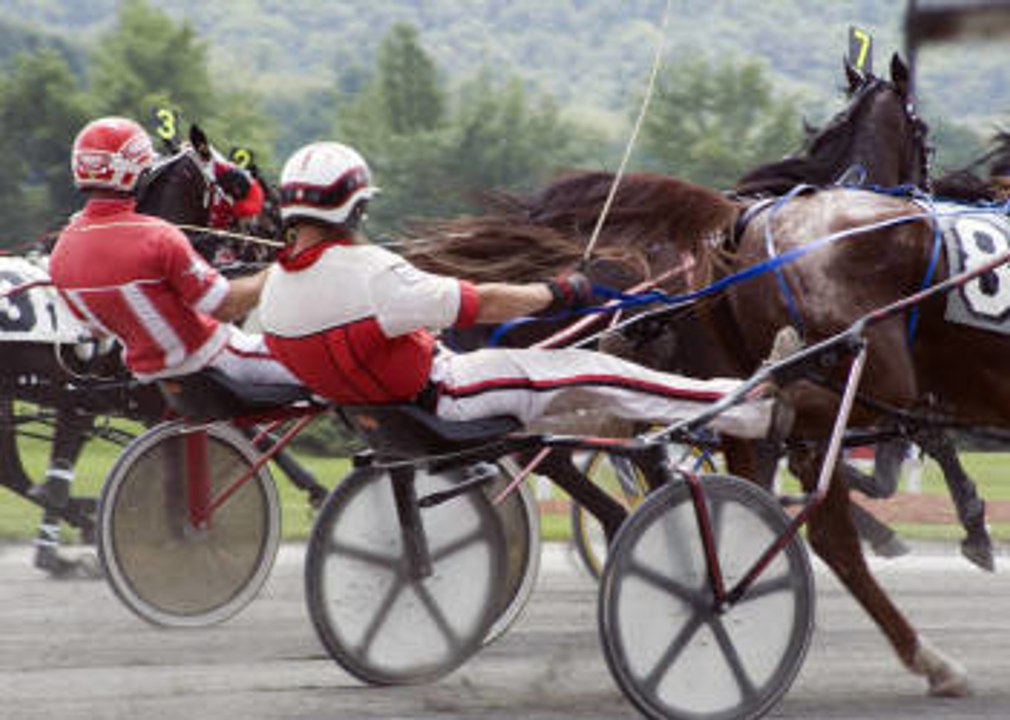 Horse riding: Driver numbers