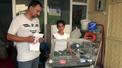 El ilanıyla kayıp papağanını arıyor - GAZİANTEP