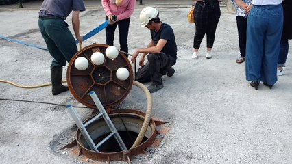 Havre Ghislage. Les archéologues de AWaP visitent l'abri de guerre. Vidéo Eric Ghislain