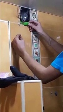 Sauvetage d'un chat.. coincé DANS le mur de la maison !