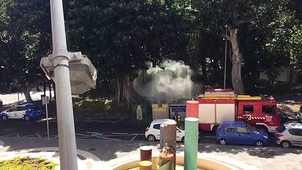 Fuego en parque García Sanabria