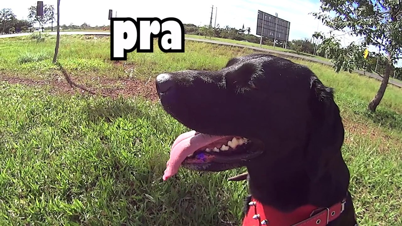 PASSEIO COM A SUSY ! E FERIADO