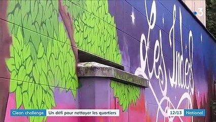 Environnement : le "clean challenge", un défi pour nettoyer les quartiers