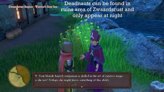 Dragon Quest XI Side Quest 10 A Path to Paradise