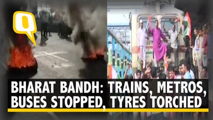 Download Video: Bharat Bandh: Vehicles torched, trains blocked, bus and metro services suspended