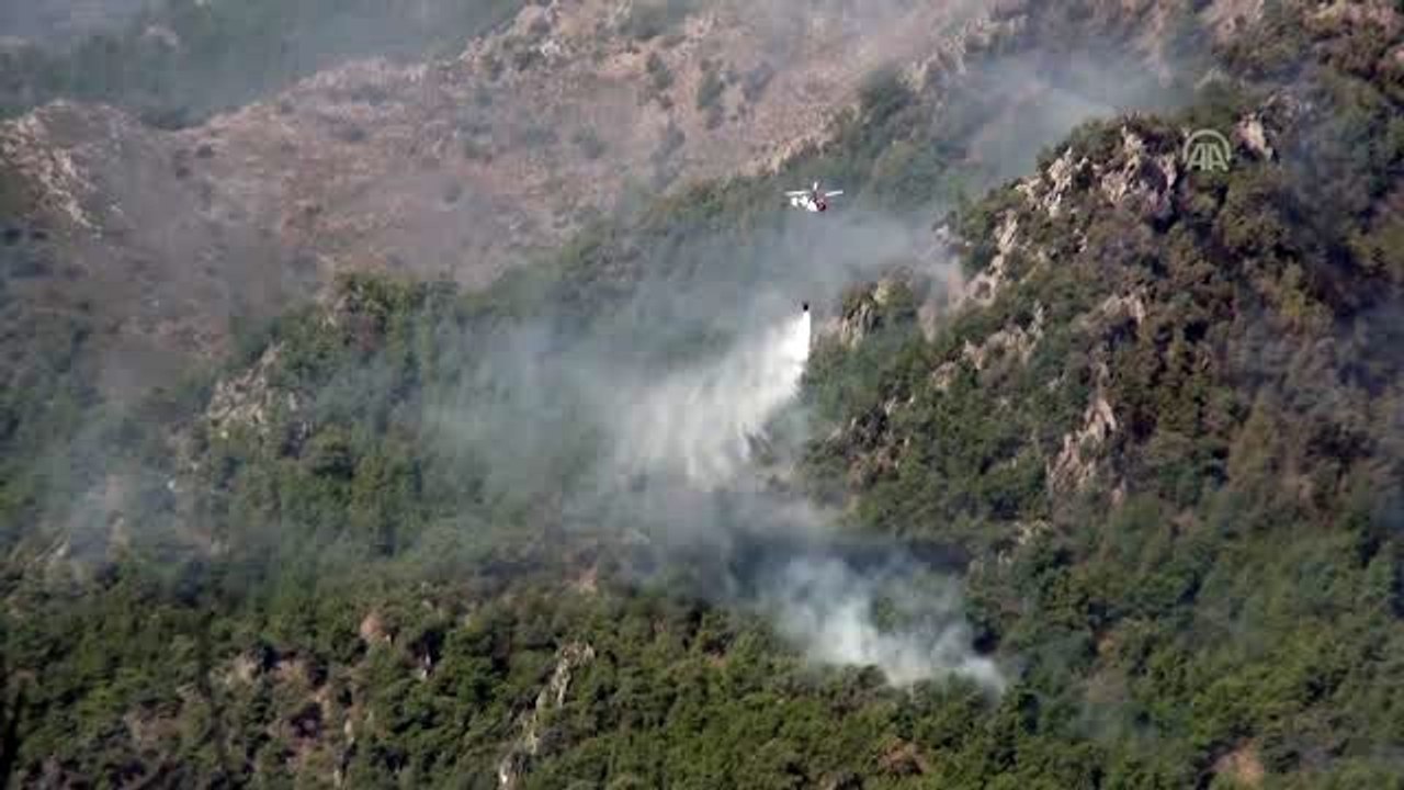 Milas ve Bodrum'daki orman yangınları devam ediyor