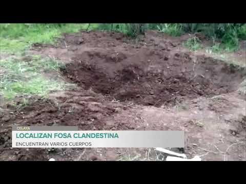 Hallan fosa clandestina en Celaya, Guanajuato | Noticias con Francisco Zea
