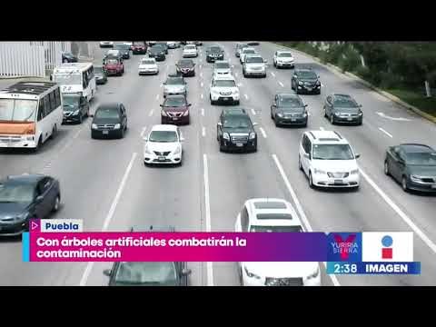 Crean árboles artificiales para combatir la contaminación | Noticias con Yuriria Sierra