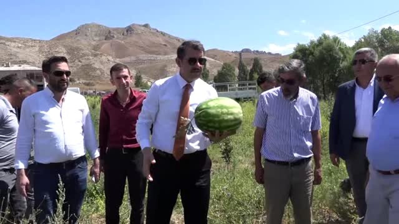 Sivas'ta ilk kez karpuz yetiştirildi