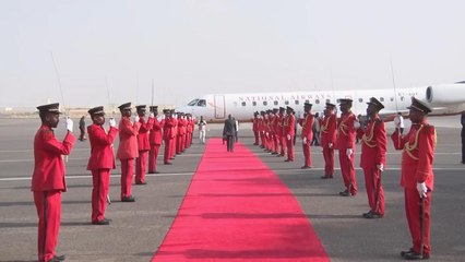 الرئيسان الجيبوتي والصومالي يبحثان تأمين القرن الأفريقي والبحر الأحمر