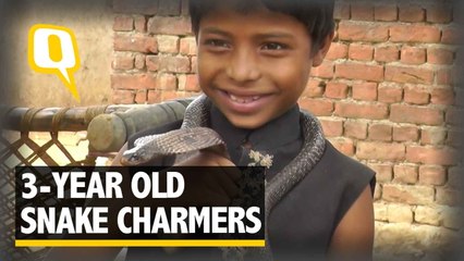 Playing With Snake in This Village Child’s Play