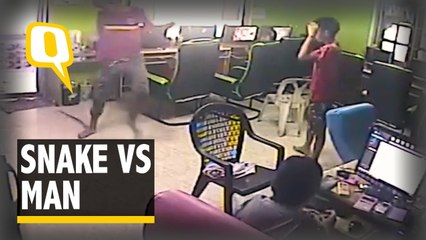 Caught on Camera: Man Runs for His Life on Spotting a Snake