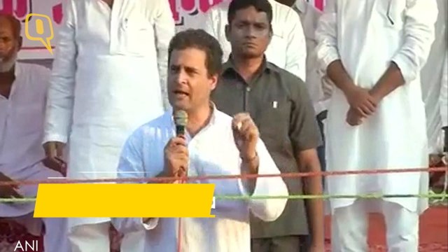 PM Should Stop Wasting Time, Start Giving Youth Jobs: Rahul Gandhi
