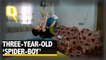 The Quint: Check out this 3-Year-Old ‘Spider-Boy’ Scaling Walls like a Ninja
