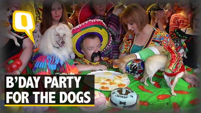 The Quint: These Dogs Have The Coolest & Posh B’day Celebration Ever