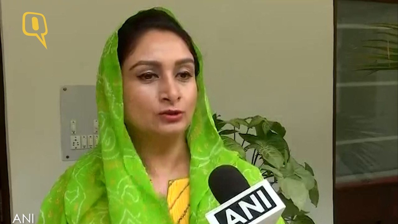 Want to globalise khichdi for its health benefits, popularity: Harsimrat Kaur Badal