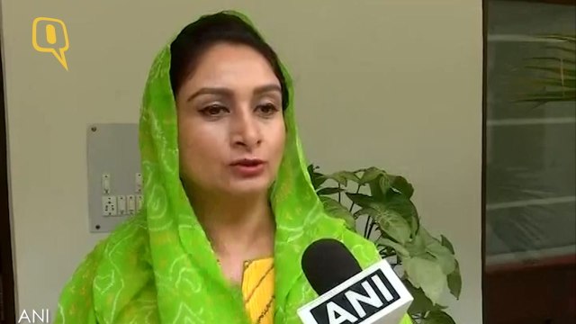 Want to globalise khichdi for its health benefits, popularity: Harsimrat Kaur Badal