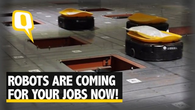 The Quint: These Efficient Robots in China are Coming for Your Jobs