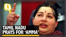 Get Well Soon Jayalalithaa! Tamil Nadu Prays for ‘Amma’s’ Health