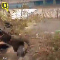 One Dead in Nagaland Poll Violence