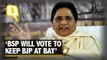 Mayawati to Support SP in Uttar Pradesh Bypolls, BSP Won’t Contest