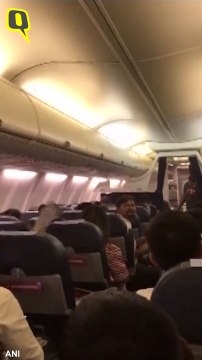 'Jet Sized Mosquitos' Swarm Jet Airways Flight in Lucknow