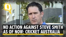 I Am Shocked and Extremely Disappointed: Cricket Australia CEO on Ball Tampering