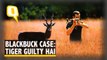 Jodhpur Court Convicts Salman Khan, Acquits Rest in 1998 Blackbuck Poaching Case
