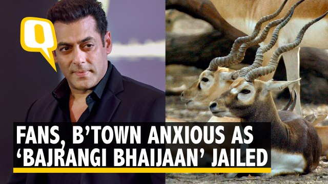 Blackbuck Case: Fans, B’Town Anxious Over Salman Khan’s Conviction