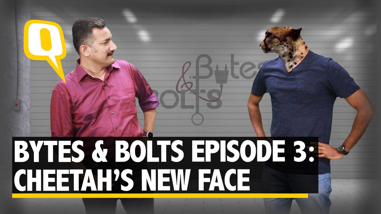 Bytes & Bolts Episode 3: Twitter AWOL & Cheetah...