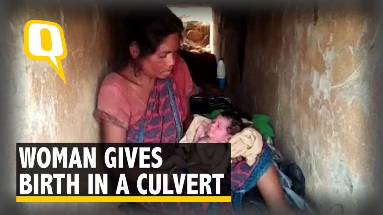 Woman Gives Birth in Culvert as House Was Destroyed by Elephants