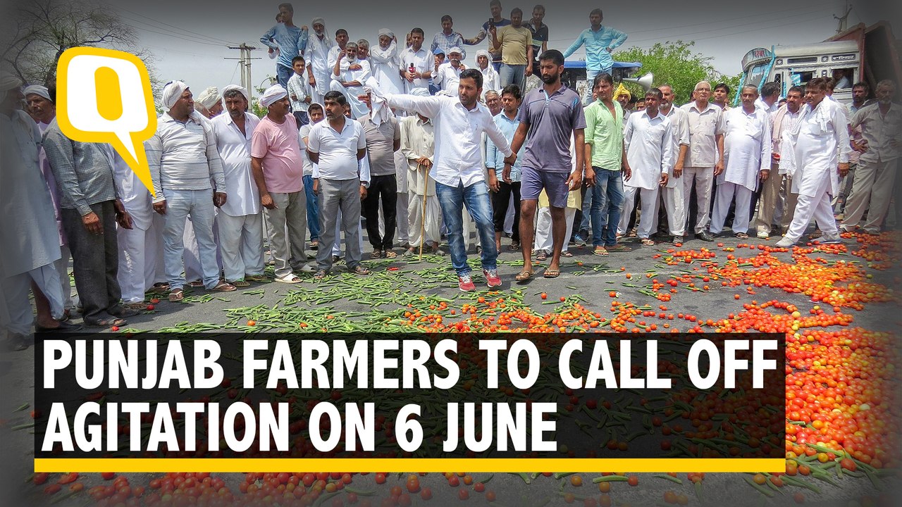 Punjab Farmers to Call Off Stir on 6 June After Days of Agitation