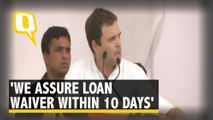 Farm Loan Waiver 10 Days After Coming to Power: Rahul in Mandsaur