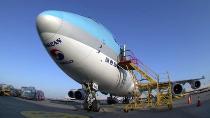 위기의 양대 항공사...화물 운송까지 축소 / YTN