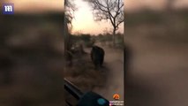 وحيد قرن غاضب يطارد السياح فى جنوب إفريقيا ..فيديو