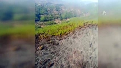 "Bodrum'daki yangın tamamen kontrol altına alındı"