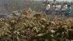 IAF aircraft crashed in Nashik, Maharashtra