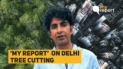 Tải video: Hug Delhi Trees, Protest their Cutting, Says Vimlendu Jha