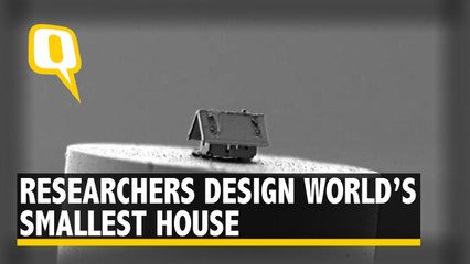 The World’s Smallest House is as Big as Half a Grain of Sand