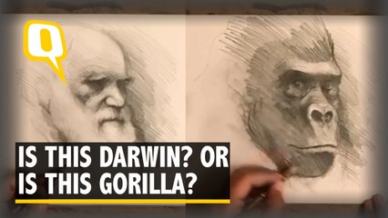 Artist Blends The Portrait Of Darwin With That of a Gorilla